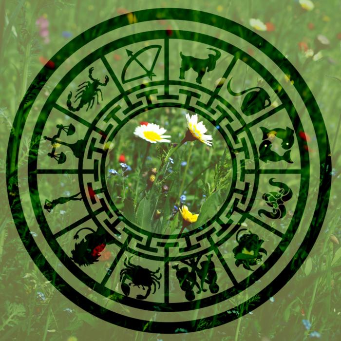 Horoscop 4 aprilie 2023. Leu, mărturisirea adevărului este cheia. Săgetător, urmează schimbări la locul de muncă. Previziuni complete
