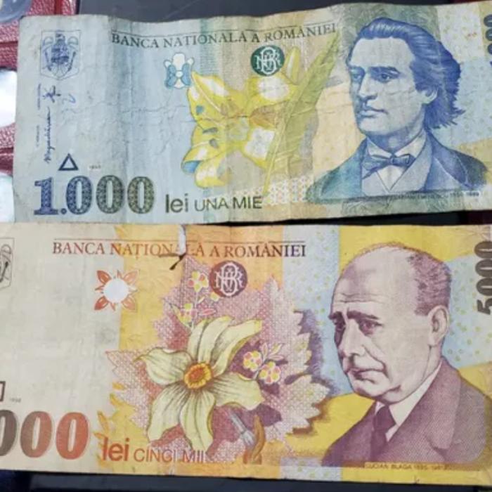 Escrocheria cu bani românești vechi. Doi bărbați din Austria au dat 350 de euro pe niște hârtii fară valoare