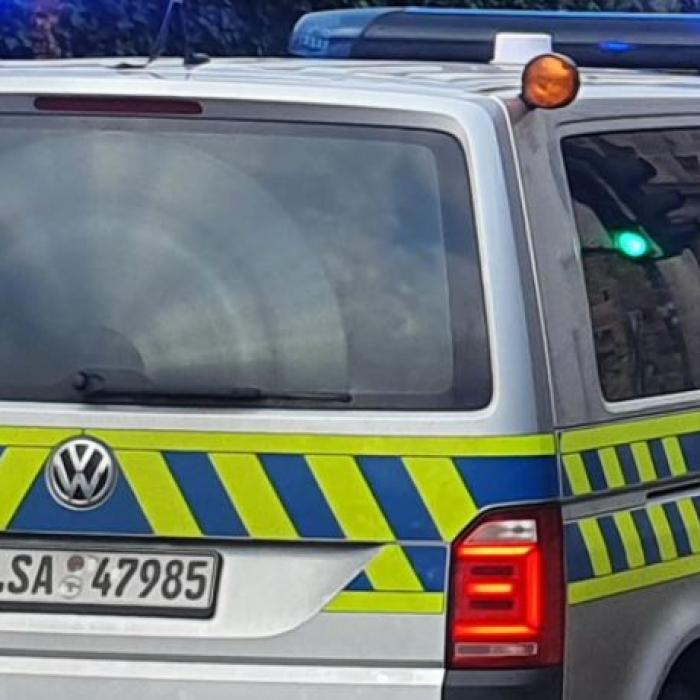 Germania. Șoc pentru patru români care au intrat să jefuiască o casă: Au fost prinși în capcană de polițiști