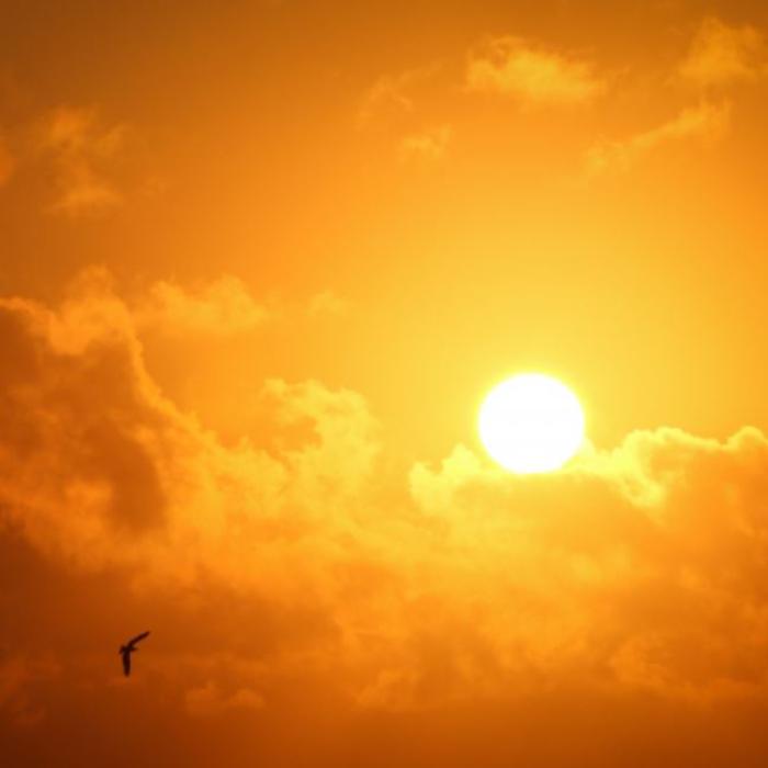 Spania va interzice unele munci și activități în aer liber în condiții de căldură extremă