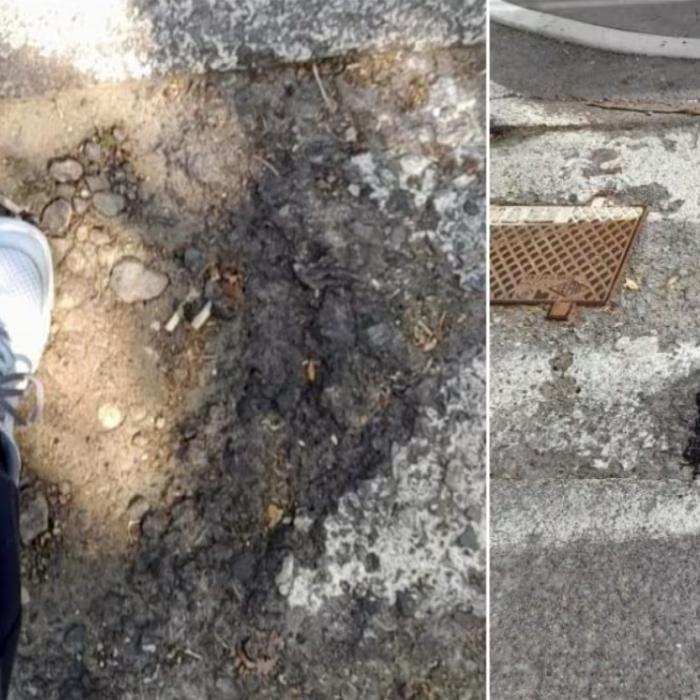 Un bărbat a cumpărat bitum și a astupat o groapă de pe șosea: A fost amendat chiar de cei responsabili, pentru lipsă de autorizație