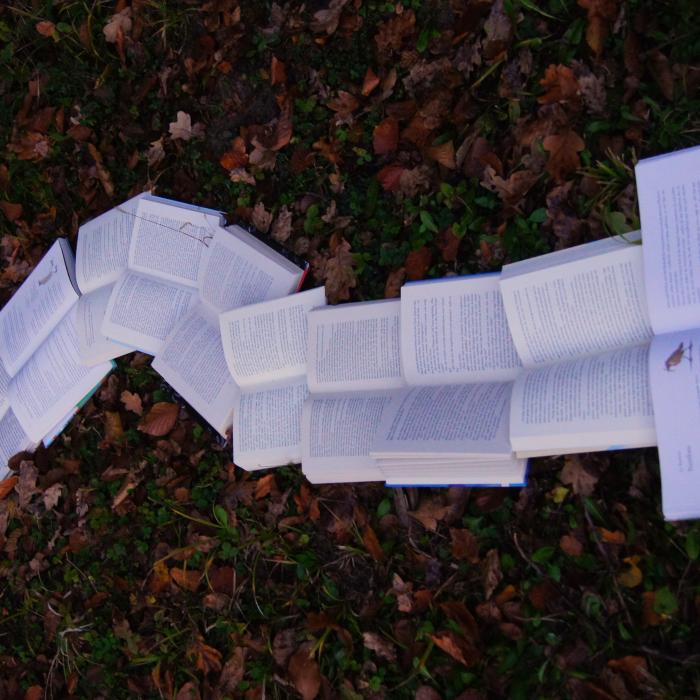 România va prezenta lucrarea "Rime împotriva războiului" la Festivalul „Noaptea Literaturii Europene” din Portugalia în iunie