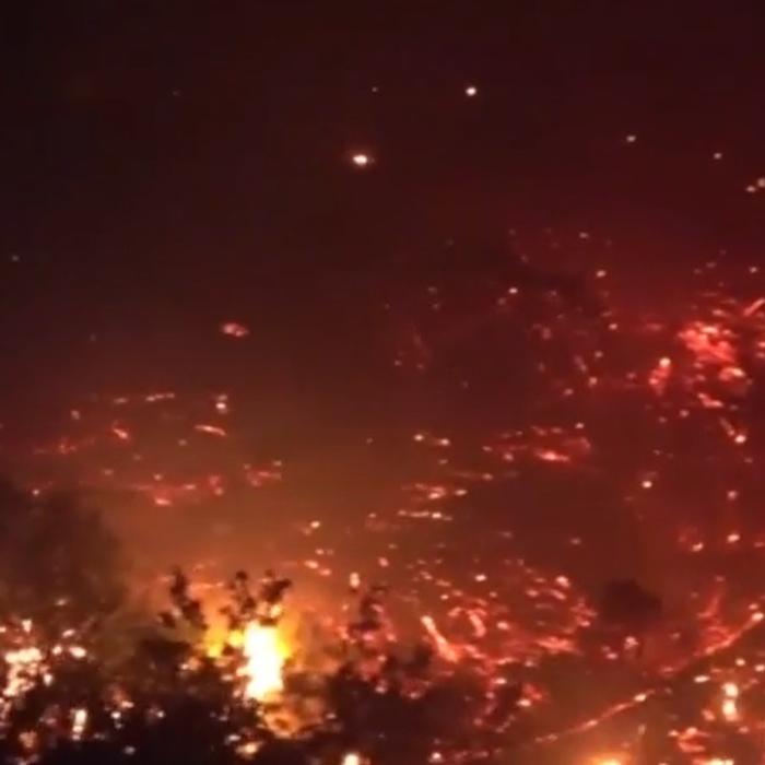 Spania. Incendiu de vegetaţie, scăpat de sub control: 700 de oameni evacuaţi