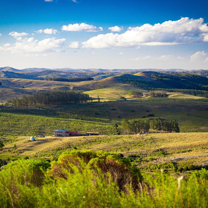 "Uruguay e ca România bunicilor noștri". Surpriză totală pentru o româncă mutată în America de Sud