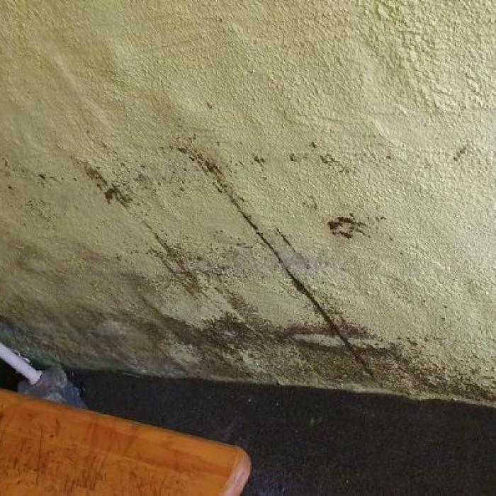 Oxfam, despre cazarea unui român - „pereți mucegăiți, camere foarte murdare": Condiții de muncă "scandaloase" în fermele de sparanghel din Germania