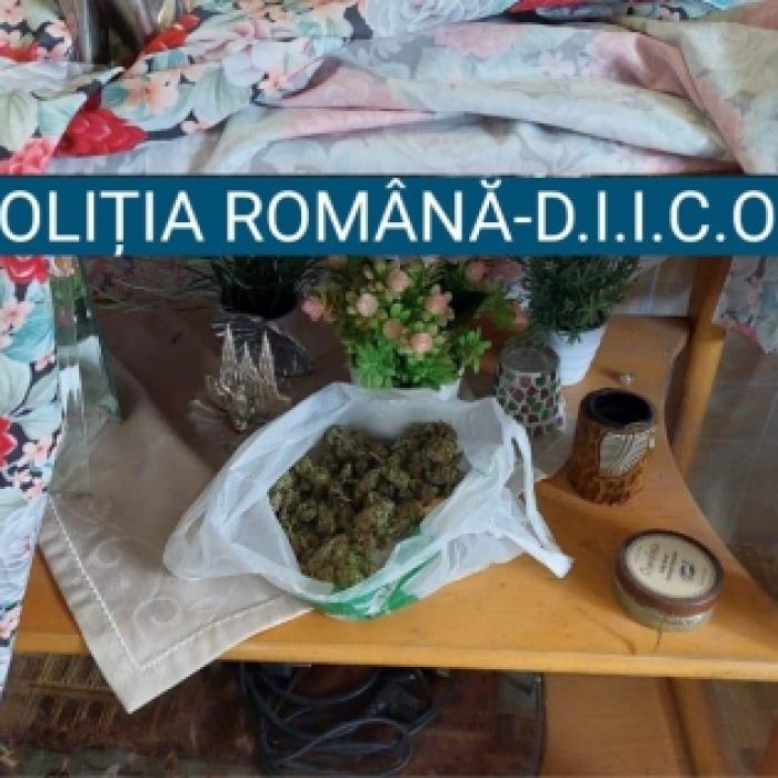DIICOT a destructurat un grup online cu peste 4.000 de membri, implicat în vânzarea de droguri. Sunt inclusiv minori printre clienți
