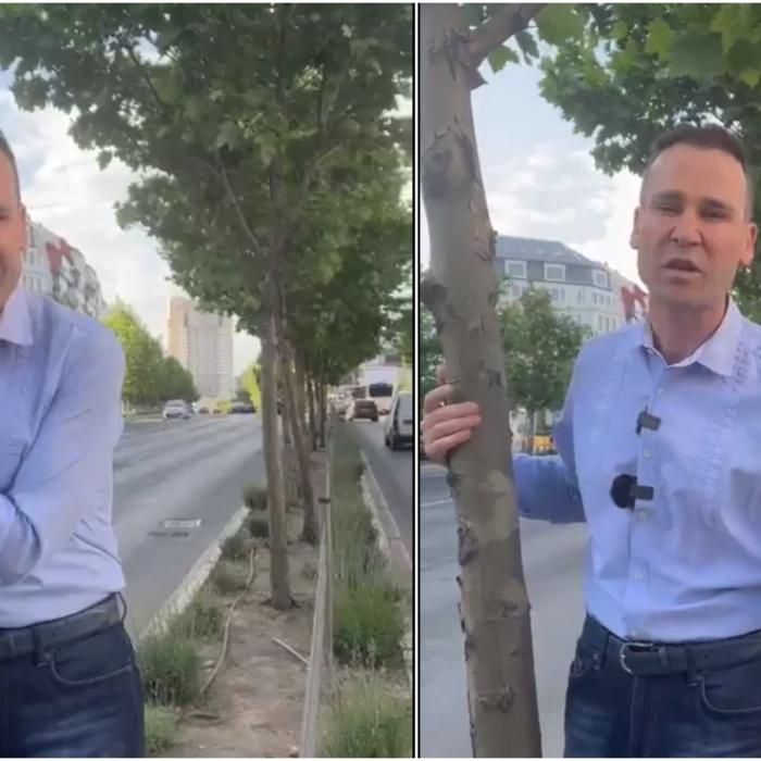Imagini uluitoare cu primarul Sectorului 3. Negoiță ia în brațe un copac și îi ține lecții de ecologie lui Nicușor Dan: "Să vă ferească Dumnezeu, nu aveţi ce face aici" - VIDEO