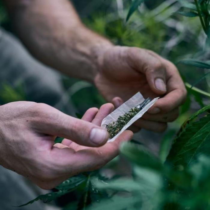 Peste 90 de kilograme de droguri, confiscate de poliţiştii români.  Cea mai mare captură este de cannabis