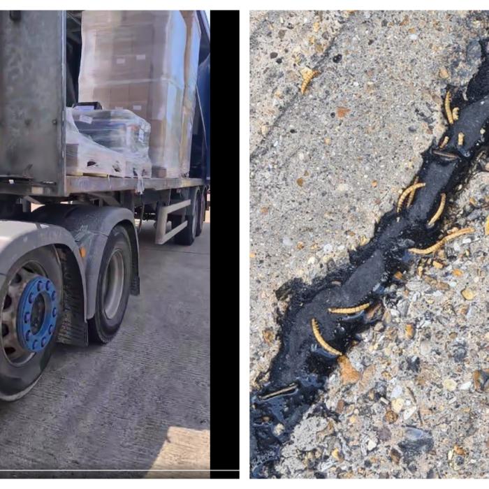 Un șofer român de TIR a aflat ce transportă după ce i-a fost spart un palet: "Sunt stupefiat. Așa ceva nu se poate!"