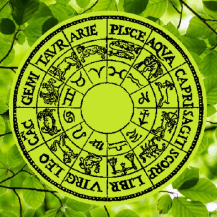 Horoscop zilnic, 7 iunie 2023. Capricornii trag biletul norocos: le cresc veniturile; Taurii refac legături cu persoane din trecut. Previziuni complete