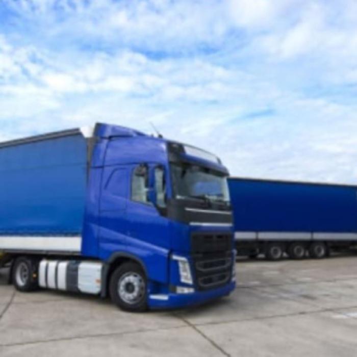 Două camioane, verificate la ieșirea din țară. Șoferii s-au ales, pe loc, cu dosare penale