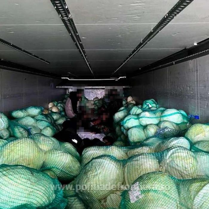 Camion încărcat cu varză, oprit la intrarea în țară. Polițiștii de frontieră au încremenit când au verificat marfa