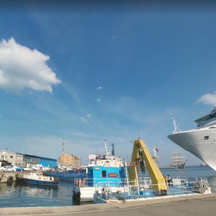 O linie de feribot va uni Portul Constanța de orașul Poti din Georgia. Iată cât costă biletul