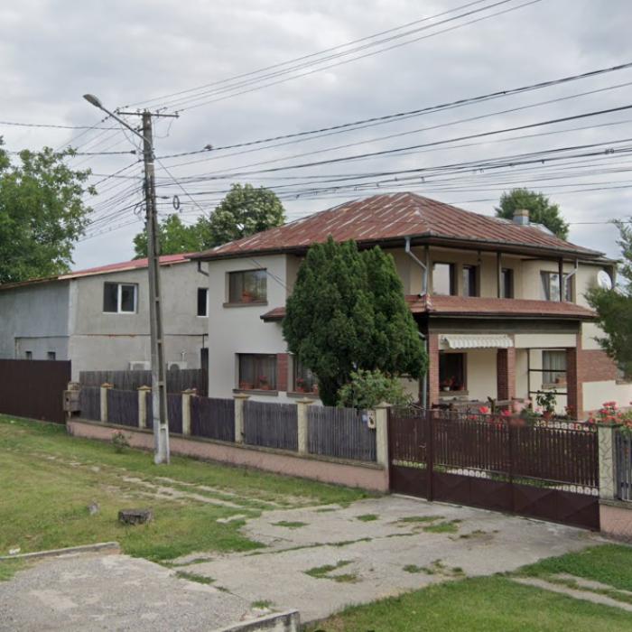 De ce ridică românii din diaspora case în țară, dacă nu vor sta în ele? Român din Anglia: "Își iubesc locul de unde au plecat"
