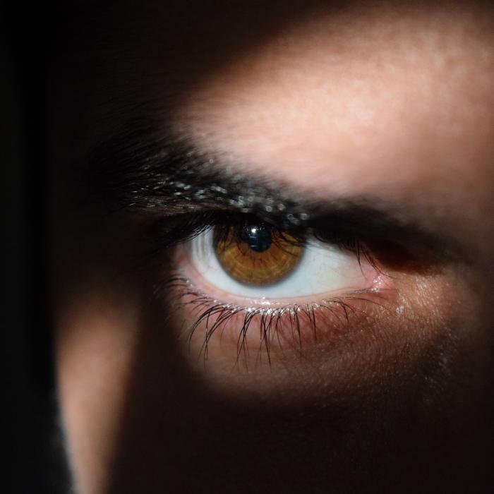 Serviciul de informaţii interne din Germania, avertismente de spionaj în legătură cu Turcia, Iran, Rusia şi China