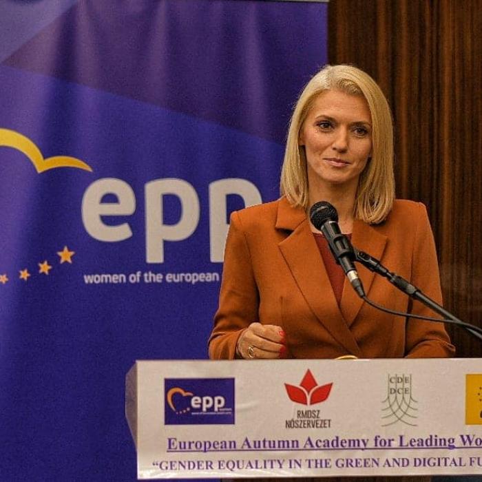 Ministrul justiţiei, Alina Gorghiu, despre demersurile pentru aducerea în ţară a fostului ministru Darius Vâlcov