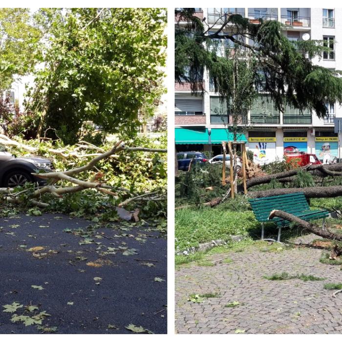 Orașul Milano, devastat după o furtună puternică. Au fost rafale de peste 100 de km/h cu grindină