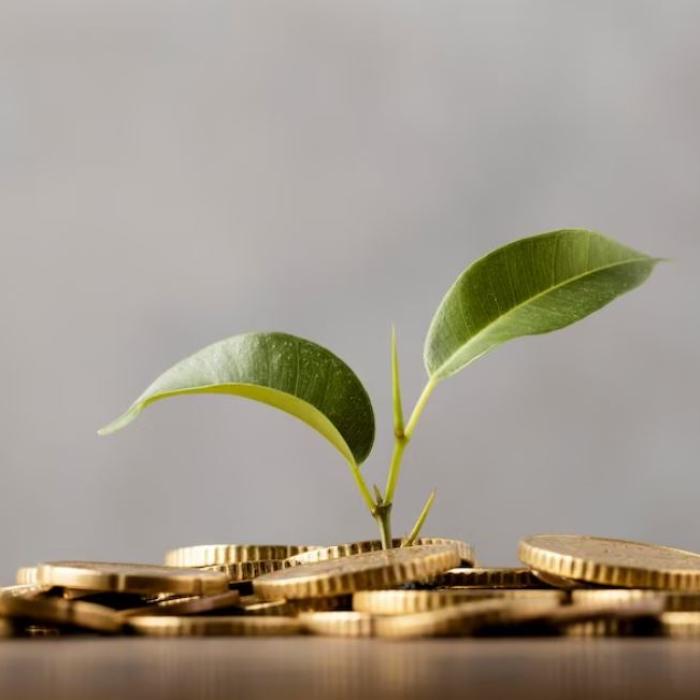 Germania a ieşit din recesiune, chiar dacă PIB-ul a stagnat. Oficiul federal de statistică: cheltuielile de consum s-au stabilizat 