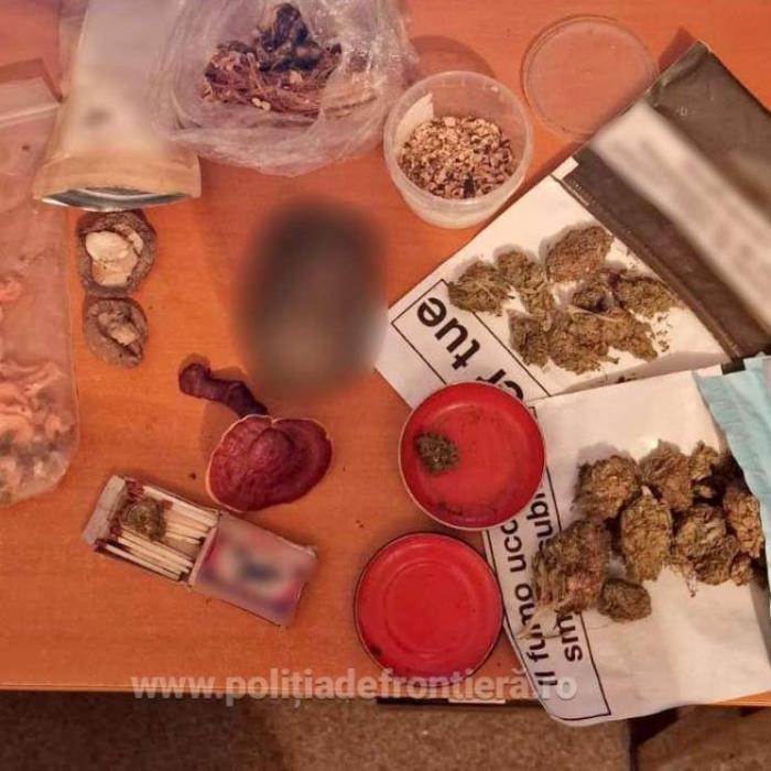 Trei tineri, care ascundeau în bagaje ciuperci halucinogene şi substanţe interzise, opriți la frontieră