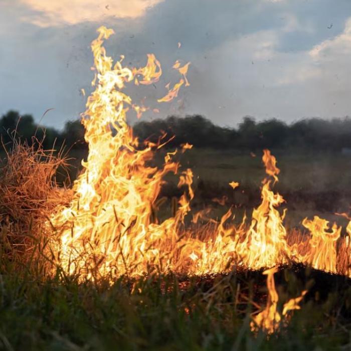 Spania în alertă: incendiile, provocate de caniculă, au distrus în weekend 1.000 de hectare de teren