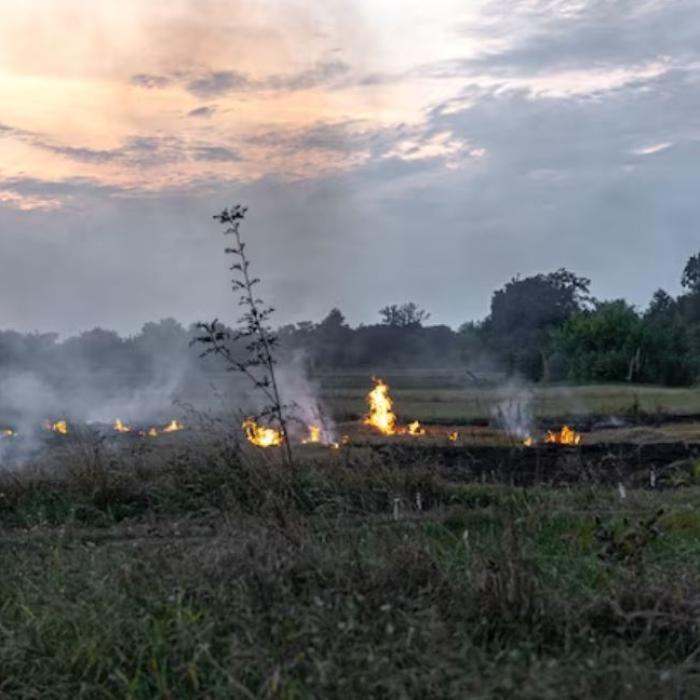 Situația rămâne tensionată în Tenerife: Incendiul de pădure acoperă deja 11.600 de hectare