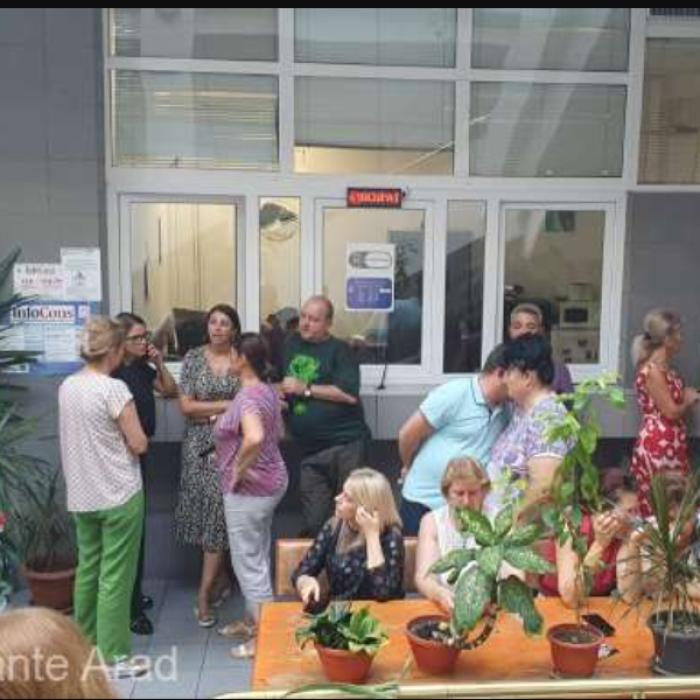 Grevă la Administraţia Finanţelor Publice din Arad. Toți cei 150 de angajați au oprit lucrul. Sunt mișcări de protest în toată țara