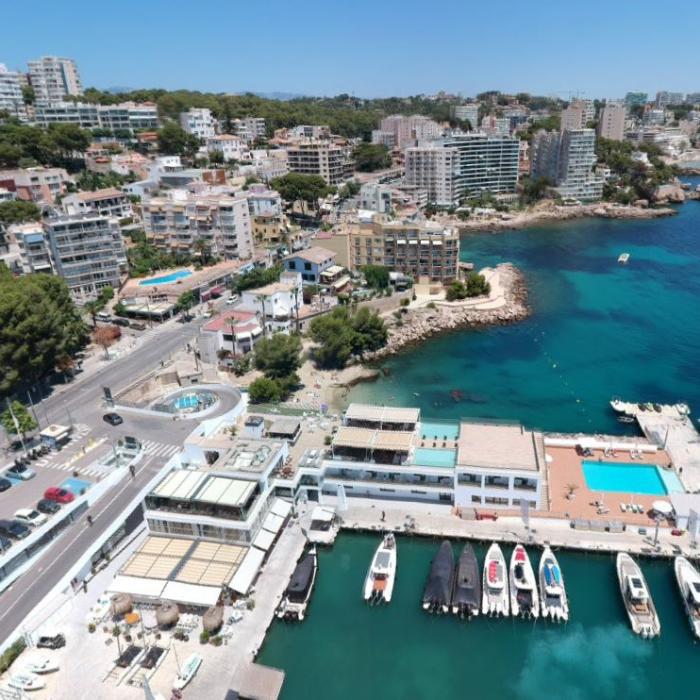 Zona din Spania, afectată de o specie invazivă de țânțari. Autoritățile în alertă: este un virus periculos!