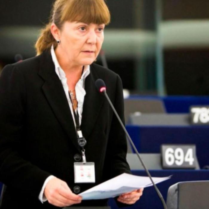 Monica Macovei a fost trimisă în judecată pentru că a lovit cu mașina un motociclist