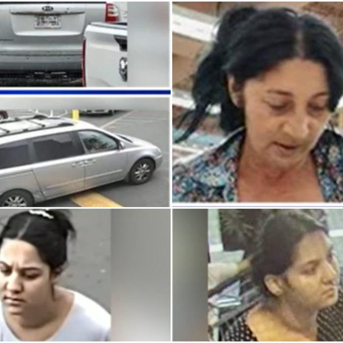 Grup de hoți români, urmărit de poliție în SUA. Fură lapte praf din magazine, sparg biserici și vând aur fals
