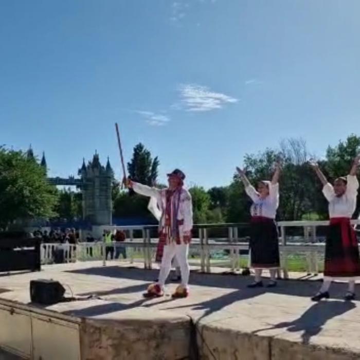 Rezultat sondaj: Credeți că Diaspora își dorește ca România să aibă o imagine mai bună în Europa?