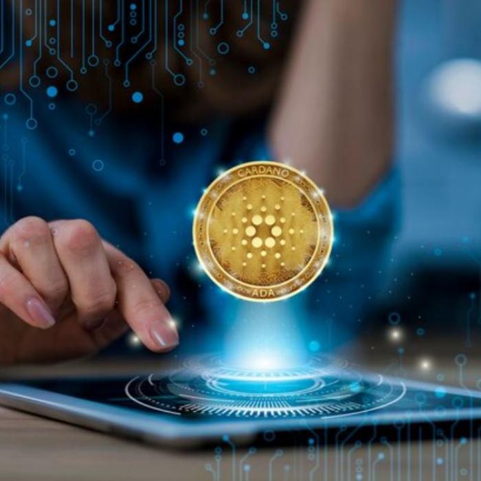 Român din Spania, implicat într-o escrocherie cu criptomonede: el și doi spanioli au încasat 50.000 de euro de la o victimă