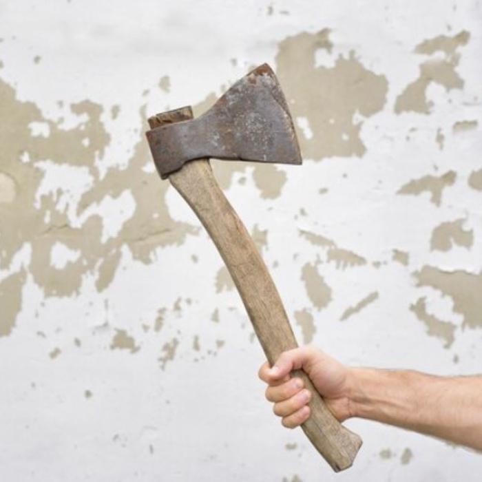 Vilă de lux, vandalizată cu drujbe și ciocane. Proprietarii: „Prejudiciu de 200 de mii de euro și infractorii scapă cu amendă”