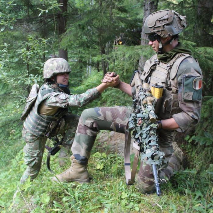 MAE: România va suspenda operaționalizarea Tratatului privind Forțele Armate Convenționale