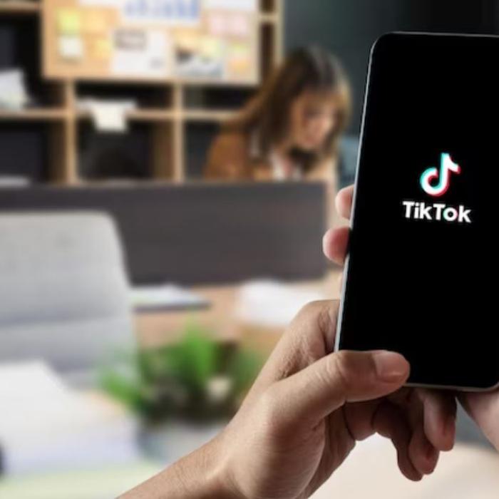 Buton de alertă pe Instagram și TikTok împotriva hărțuirii cibernetice, în Franța