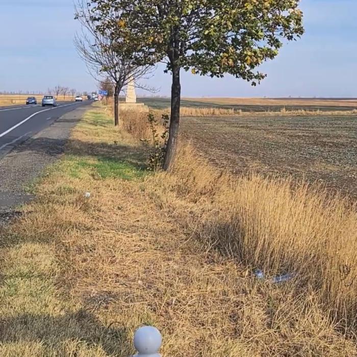 DN2 (E85), drumul morții: 199 de cruci pe 85 de kilometri. Aproape 300 de persoane au decedat în 10 ani