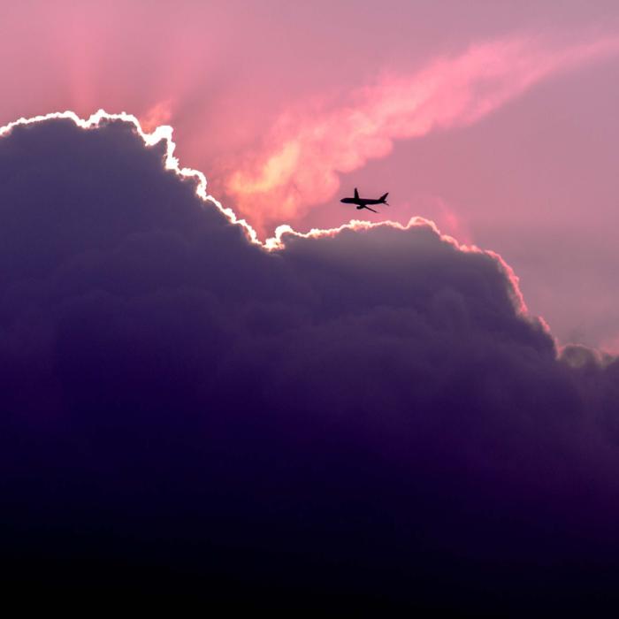 Avion cu destinația Belgia, nevoit să se întoarcă la aeroport după ce... un cal a scăpat la bord