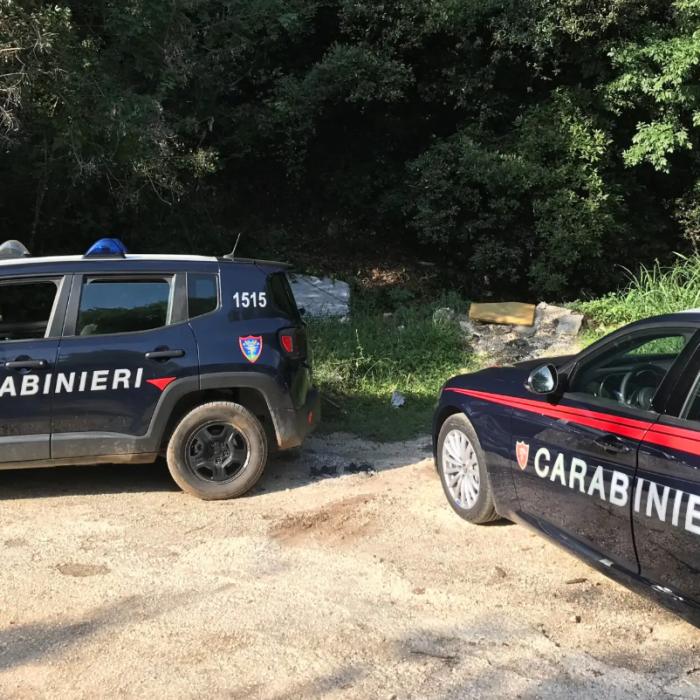 O femeie și fiul ei au tăiat înainte să moară 20.000 de euro în bancnote. Nu au vrut să lase nimic moștenitorilor