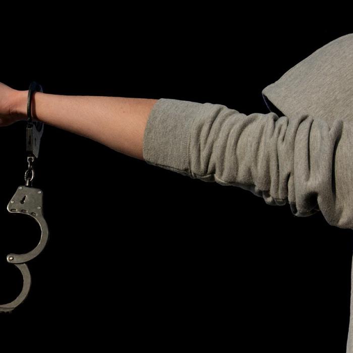 De la începutul anului, aproape 700 de fugari, aduși în România. Gorghiu: Li se va adăuga o nouă pedeapsă la cea existentă!