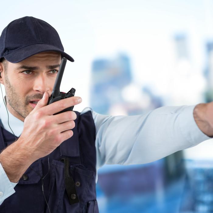 Un hoț român, spaima comercianților de telefoane mobile din Ungaria. Prejudiciul este uriaș