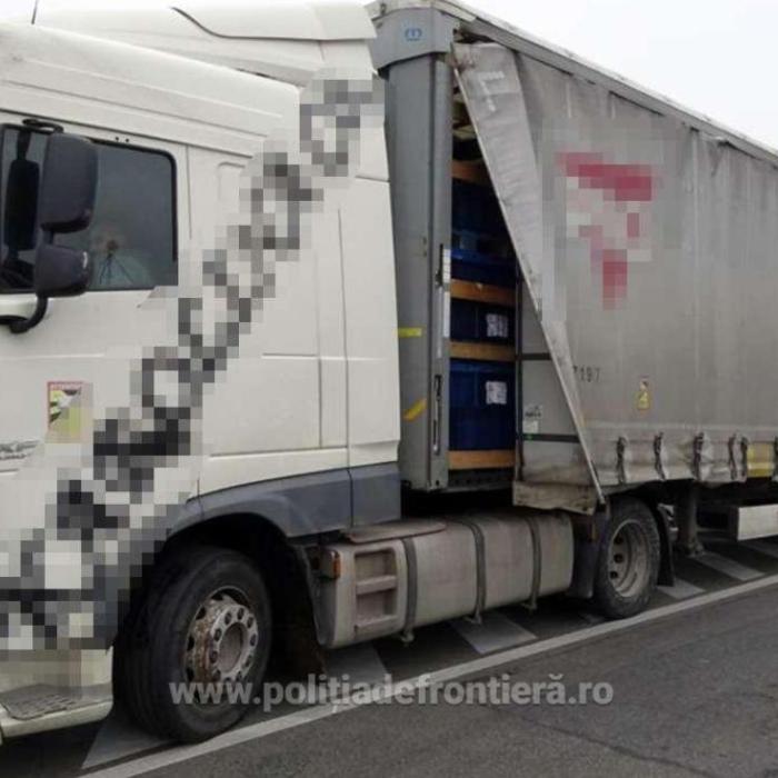 Camion, în drum spre Marea Britanie, verificat la intrarea în țară: șoferul ascundea 8 kilograme de tutun mărunțit