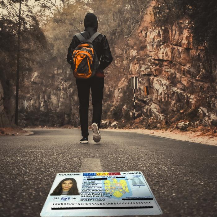 Buletinul electronic, gratuit în următorii cinci ani. Guvernul a adoptat legea