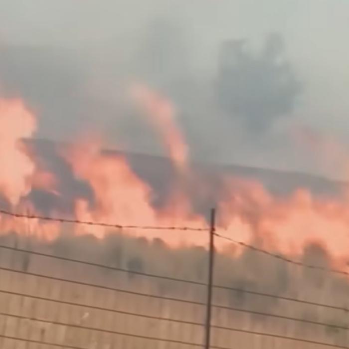 Incendiu izbucnit lângă Ferma Dacilor. Focul a cuprins sute de metri de teren