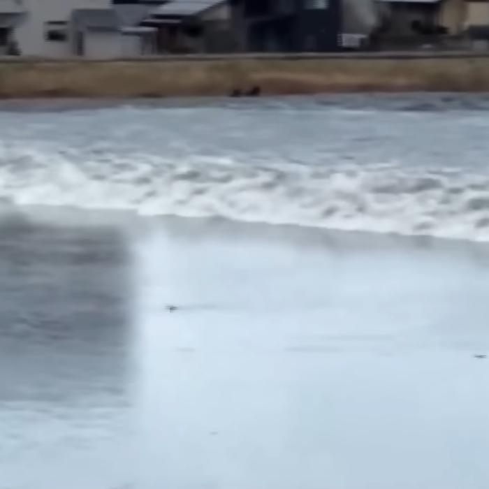 Cutremur în Japonia: 4 morți confirmate, alertă de tsunami și peste 100 de cutremure și replici după tragedie