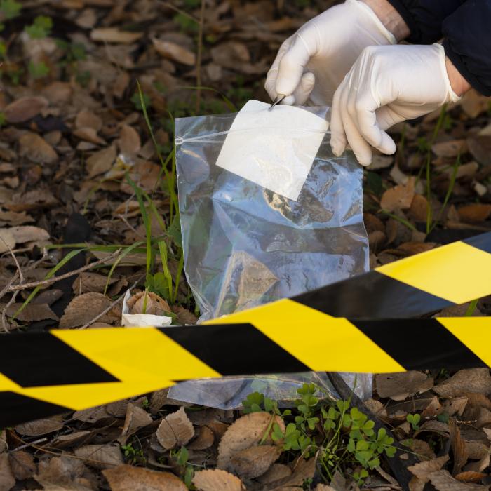 O româncă și fiul ei, acuzați că l-ar fi ucis pe soțul acesteia și i-au ascuns cadavrul, mințind că este plecat la muncă în Italia