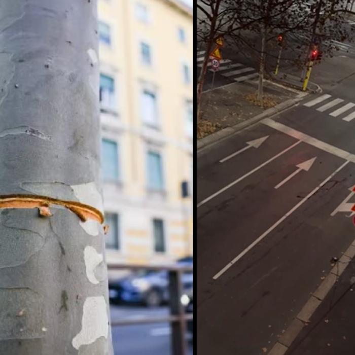 Capcana nebună la Milano. Ca să se distreze, au întins un cablu de metal pe mijlocul drumului: "Au vrut să facă să cadă mopedele"