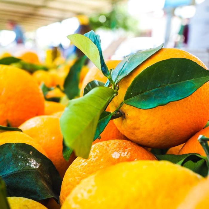 Prețul portocalelor crește vertiginos în Spania, în mijlocul epidemiei de gripă: „Clienții cumpără mai multe citrice pentru vitamina C”