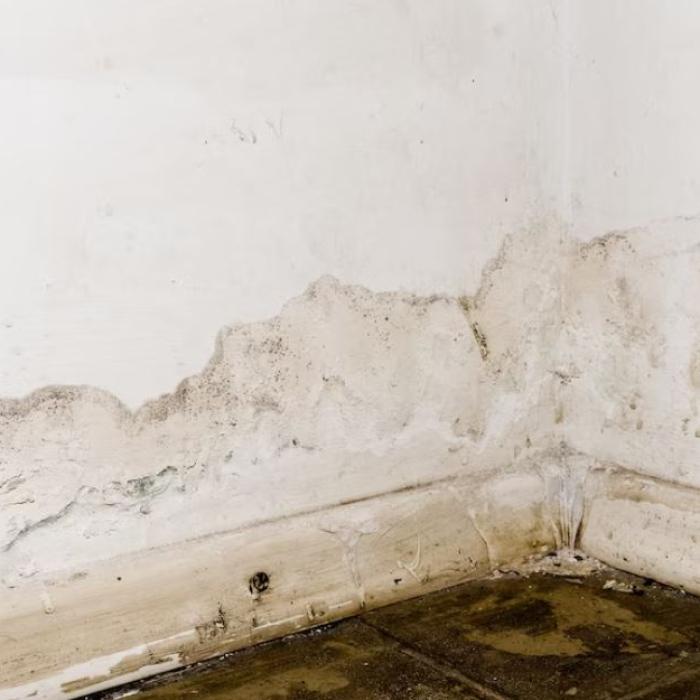 Mucegaiul va dispărea rapid: un remediu simplu care ajută toate gospodinele