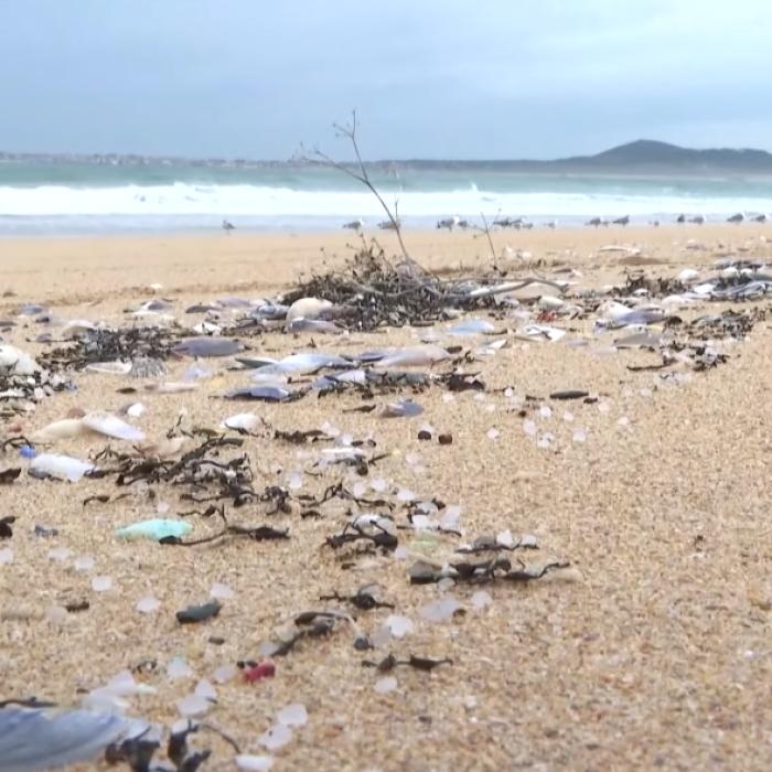 Stare de urgenţă în nordul Spaniei, din cauza peletelor de plastic prezente pe plajă - VIDEO