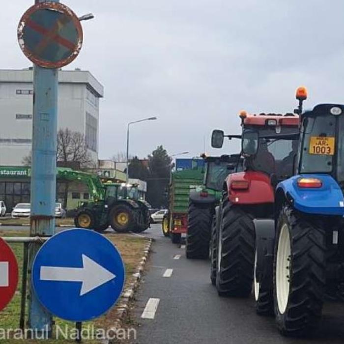 Protest la frontiera Nădlac: zeci de fermieri au venit cu utilajele, afectând traficul rutier