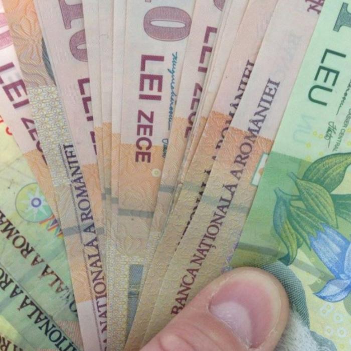 Guvernul a decis: 250 de lei pentru românii cu venituri de până la 2.000 de lei; banii se virează o dată la două luni
